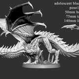 Adolescent Black Dragon (2 poses)