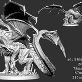 Adult Black Dragon (2 poses)