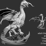 Adult Black Dragon (2 poses)