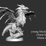 Young Black Dragon