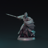 Shadow born Knight infantry