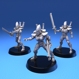 Space Elves - Warriors