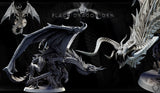 Elder Black Dragon