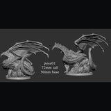 Adolescent White Dragon (2 poses)