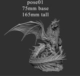 Adult Green Dragon (2 poses)