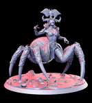 Arakhnati (spider demon)