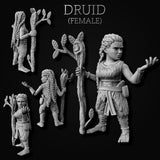 Gnome Druid (Male/Female)