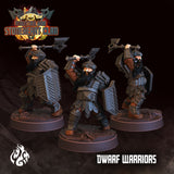 Dwarf Warriors Set