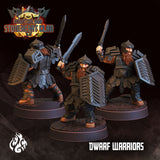 Dwarf Warriors Set