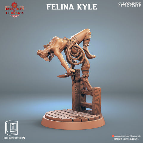 Felina Kyle