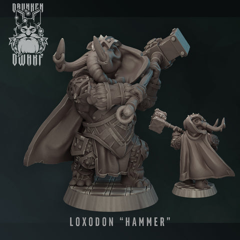 Loxodon Hammer