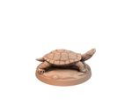 Great Turtle