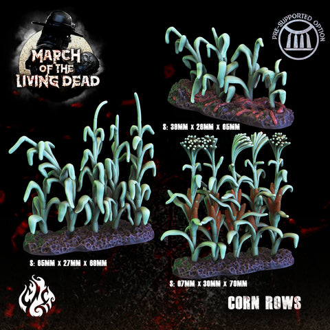 Corn Rows